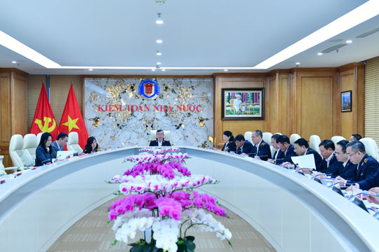 Cho ý kiến đánh giá Ủy viên Ban Thường vụ Đảng ủy Kiểm toán nhà nước quý I/2026