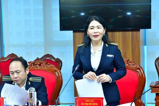 Triển khai kiểm toán 5 dự án trọng điểm thuộc EVN và tỉnh Tuyên Quang