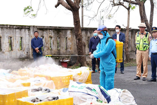 Phát hiện, tiêu hủy hơn 2,6 tấn nội tạng động vật không rõ nguồn gốc
