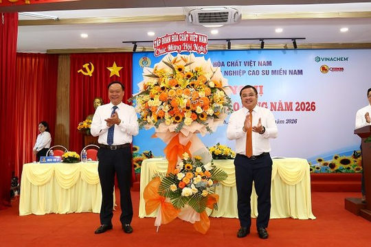 Casumina đặt mục tiêu lợi nhuận 120 tỷ đồng, tạo đà tăng trưởng giai đoạn mới