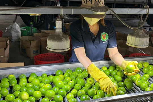 Linh hoạt ứng phó, nỗ lực giữ đà tăng trưởng xuất khẩu nông sản 