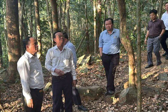 Khảo sát quản lý rừng Côn Đảo, gắn bảo tồn với phát triển kinh tế - xã hội