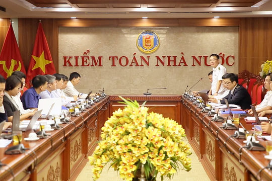 Triển khai kiểm toán hoạt động dịch vụ công trực tuyến giai đoạn 2024–2025