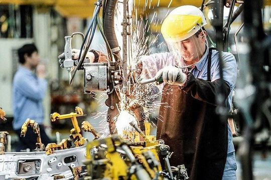 Phấn đấu có ít nhất 20 doanh nghiệp lớn tham gia chuỗi giá trị toàn cầu