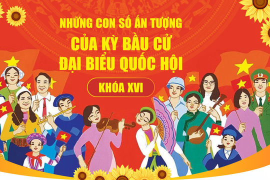 Bầu cử đại biểu Quốc hội khóa XVI: Những con số ấn tượng