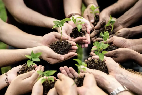 Kiểm toán môi trường: Thu hẹp khoảng cách thực thi, hướng đến phát triển bền vững