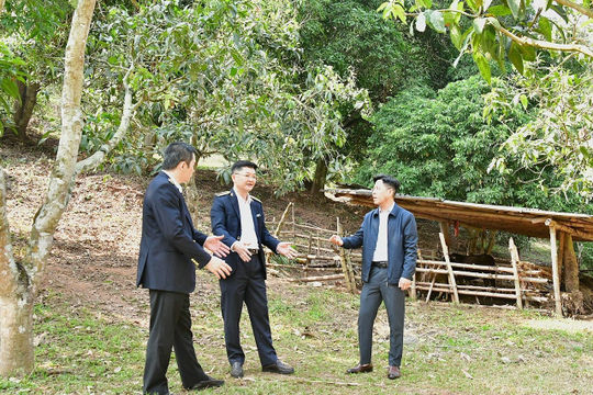 Chương trình phát triển vùng đồng bào dân tộc thiểu số: Kiểm toán để đảm bảo minh bạch, hiệu quả