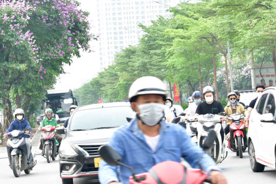 Vi phạm môi trường: Nghiêm trị để răn đe!