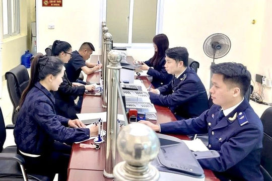 Hải quan thu hơn 117.000 tỷ đồng, tăng 14,4%