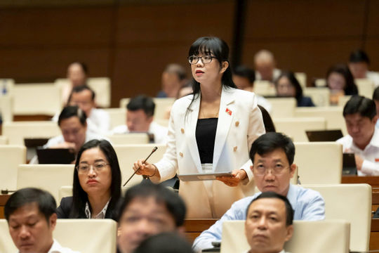 Cần xác định rõ cơ chế phát triển hệ thống trường công lập trong Luật Thủ đô