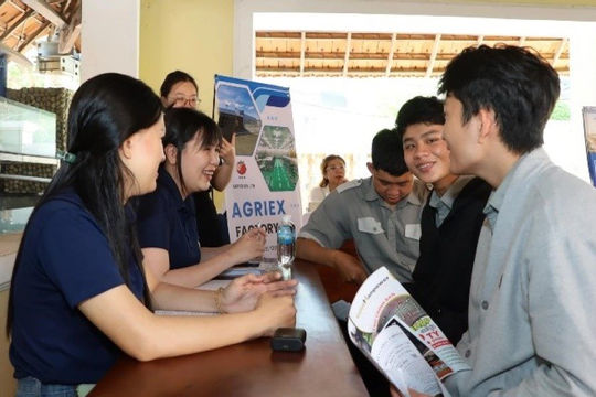 Khánh Hòa tăng tốc kết nối việc làm, rút ngắn thời gian thất nghiệp