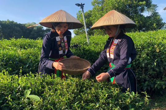 Nhiều hộ gia đình chịu ảnh hưởng do giá cả hàng hóa, dịch vụ tăng cao