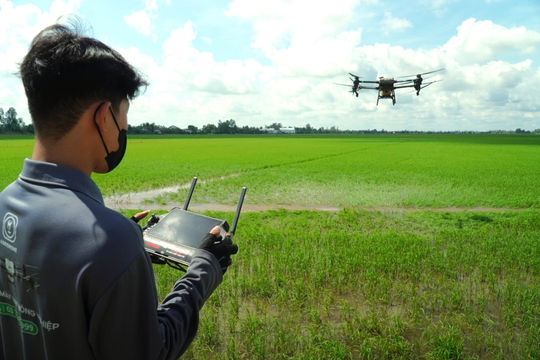 Giúp nông dân làm chủ công nghệ drone trên đồng ruộng