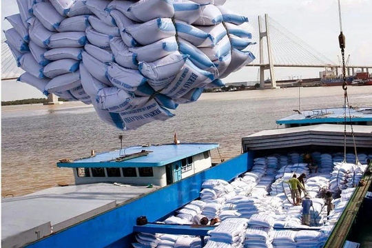 Đơn giản hóa thủ tục hành chính lĩnh vực xuất nhập khẩu