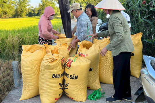 Cụ thể hóa tiêu chí hộ nông dân sản xuất, kinh doanh giỏi trong xây dựng nông thôn mới