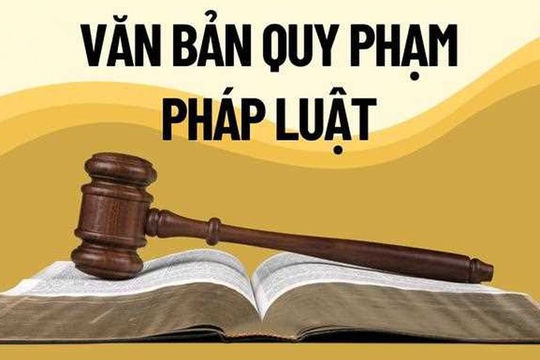 Thành lập Tổ công tác, bố trí cán bộ có năng lực tổng rà soát văn bản quy phạm pháp luật