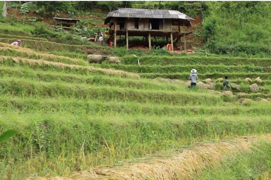 Triển khai Chương trình mục tiêu quốc gia giai đoạn 2026 -2030