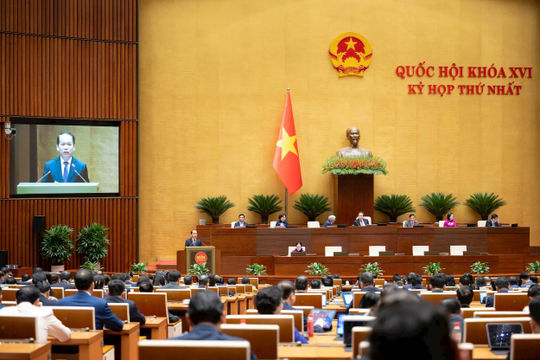 Thực hiện thí điểm chế định luật sư công tại 8 Bộ, 10 tỉnh, thành phố từ ngày 01/10/2026