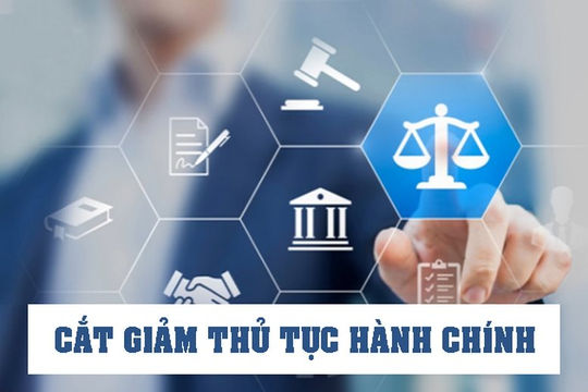 Cắt giảm, đơn giản hóa thủ tục hành chính, điều kiện kinh doanh thuộc 7 lĩnh vực