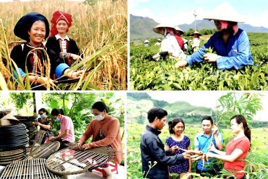 Giải ngân Chương trình mục tiêu quốc mới đạt hơn 8% kế hoạch