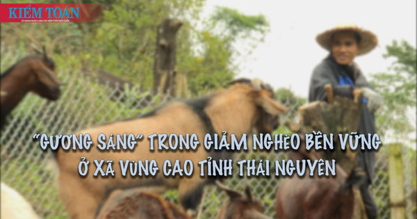“Gương sáng” trong giảm nghèo bền vững ở xã vùng cao tỉnh Thái Nguyên