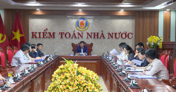 Xây dựng Đề cương kiểm toán chuyên đề liên quan đến thuế giai đoạn 2023-2025